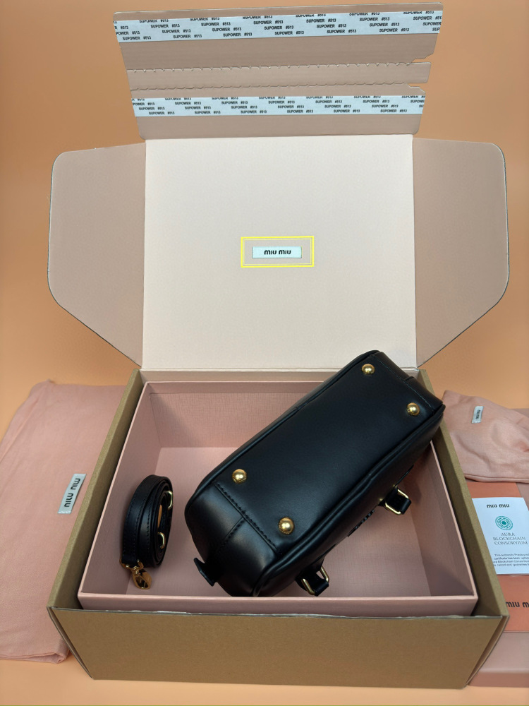 MiuMiu Arcadie small