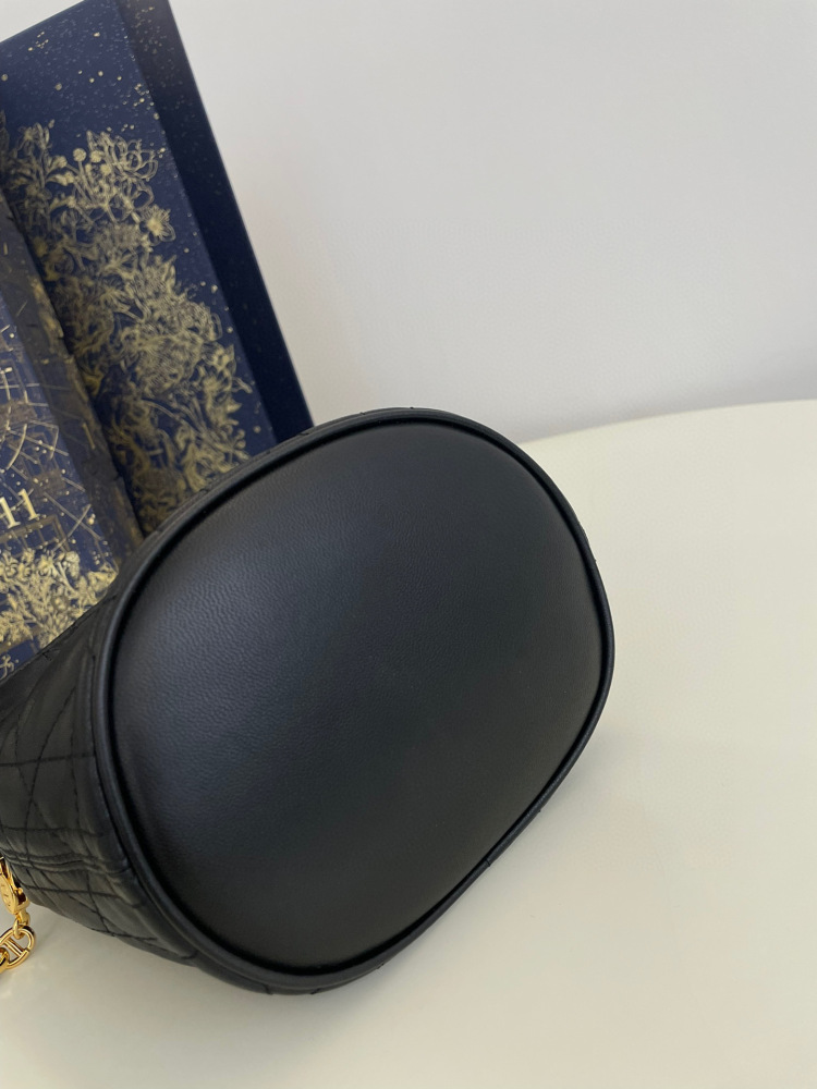 Dior Miss caro bucket