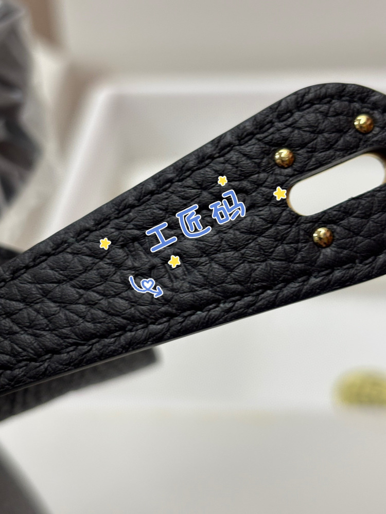 （Physical picture）Hermes Lindy26