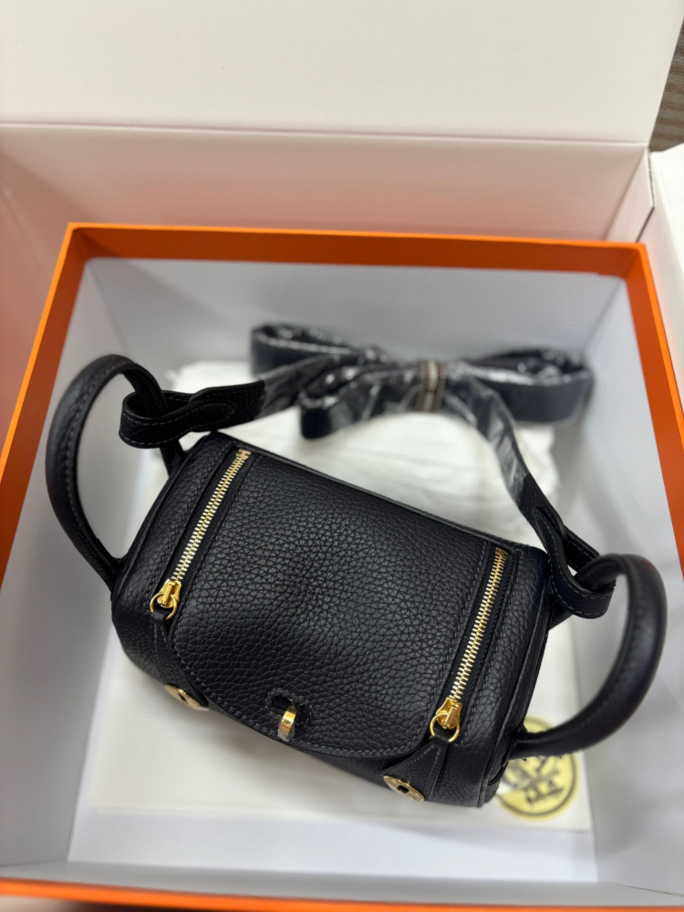 （Physical picture）Hermes mini lindy