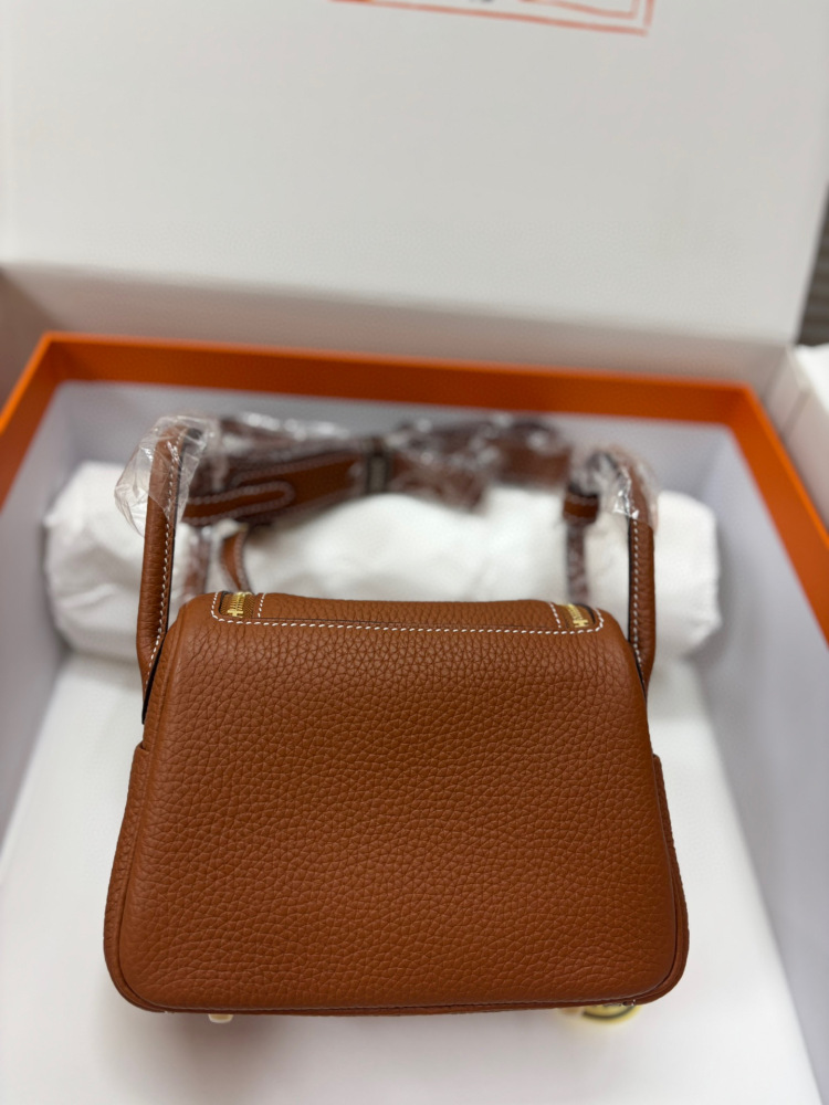（Physical picture）Hermes mini lindy