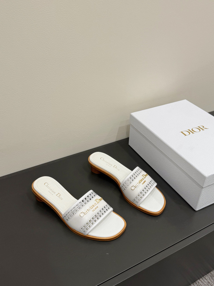 Dior slipper