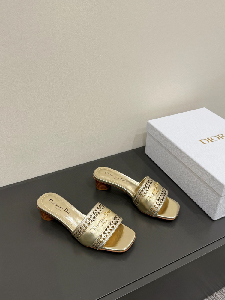 Dior slipper