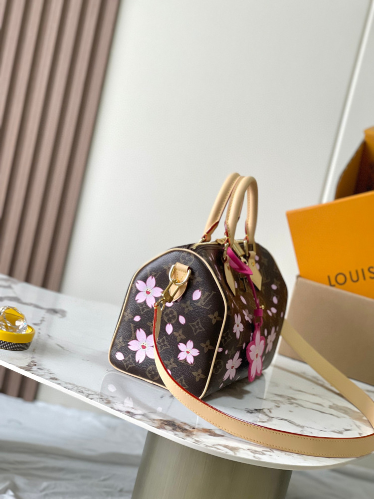（MB）LV speedy 25