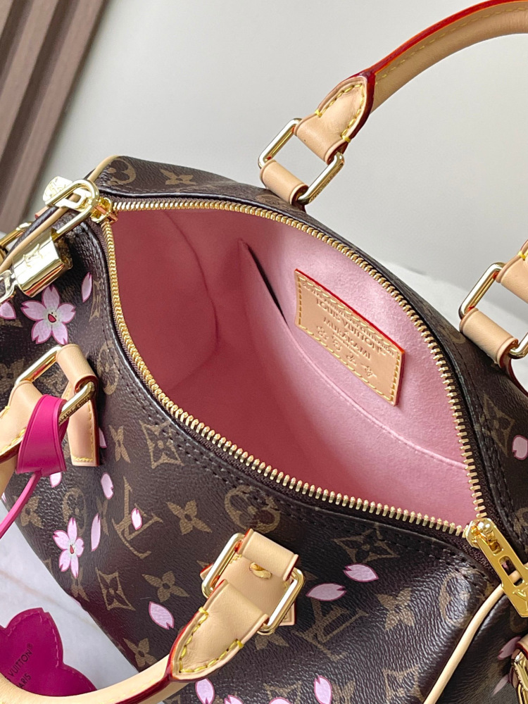 （MB）LV speedy 25