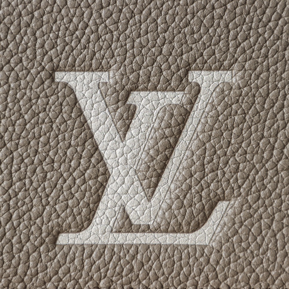 （SP） LV pochette metis