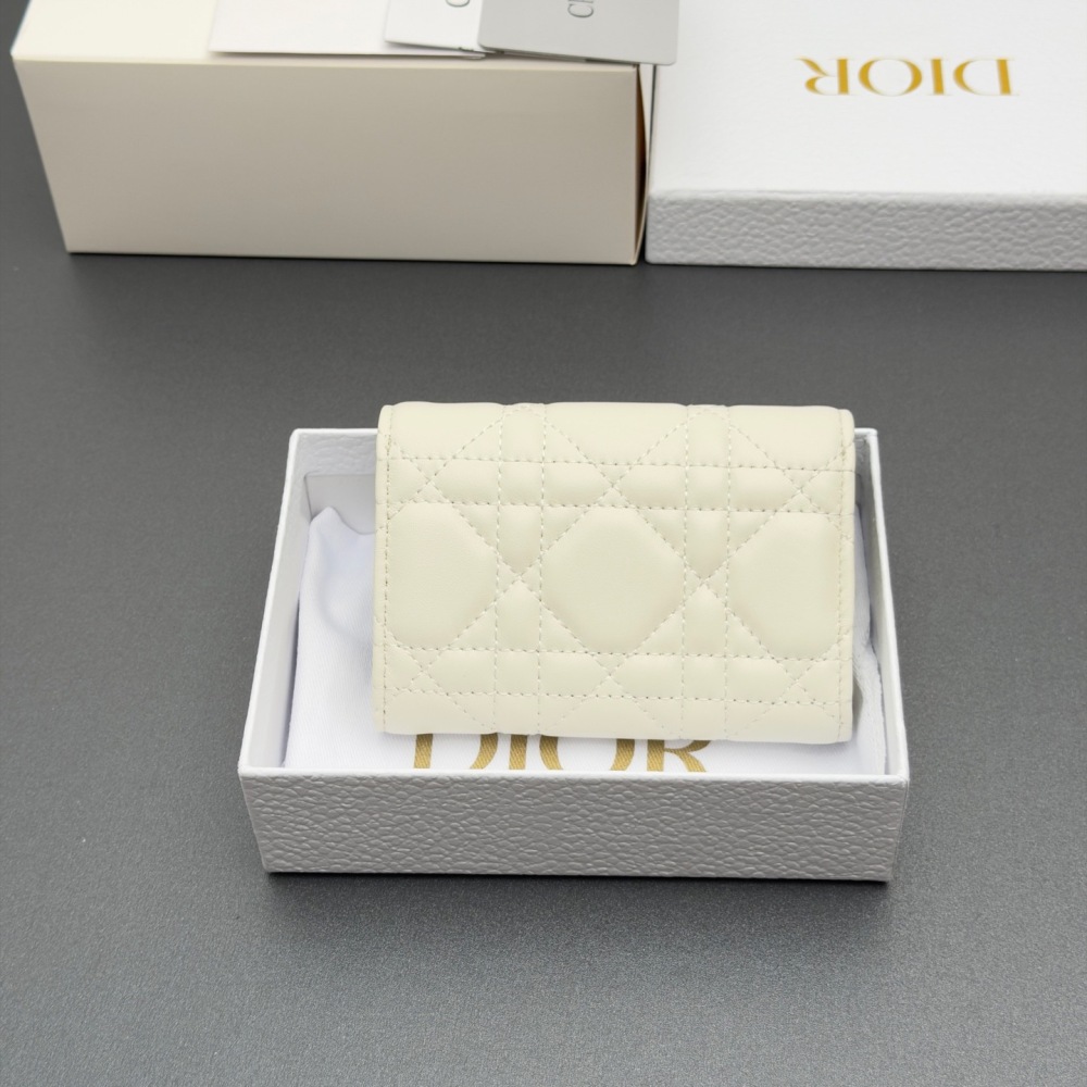 Dior cardholder