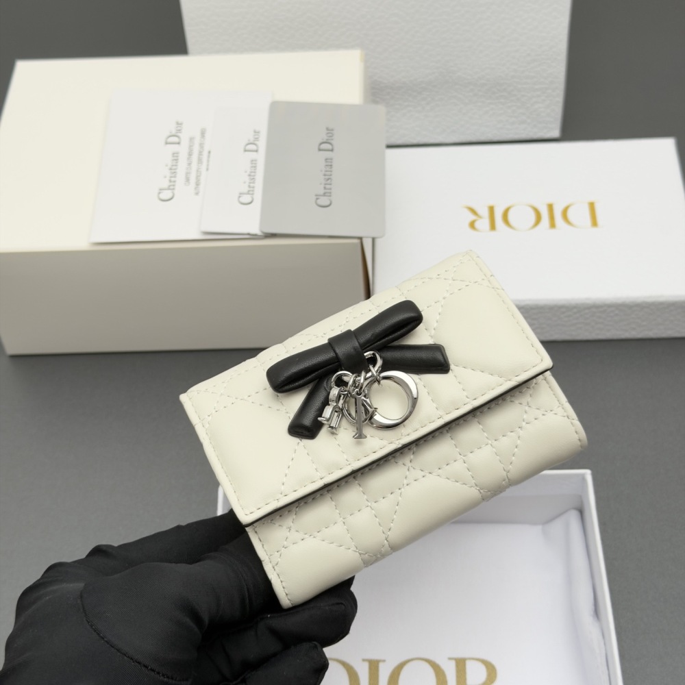 Dior cardholder