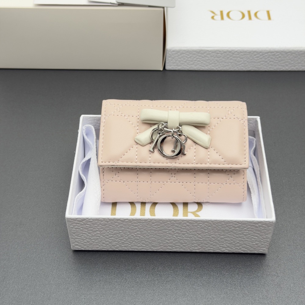 Dior cardholder
