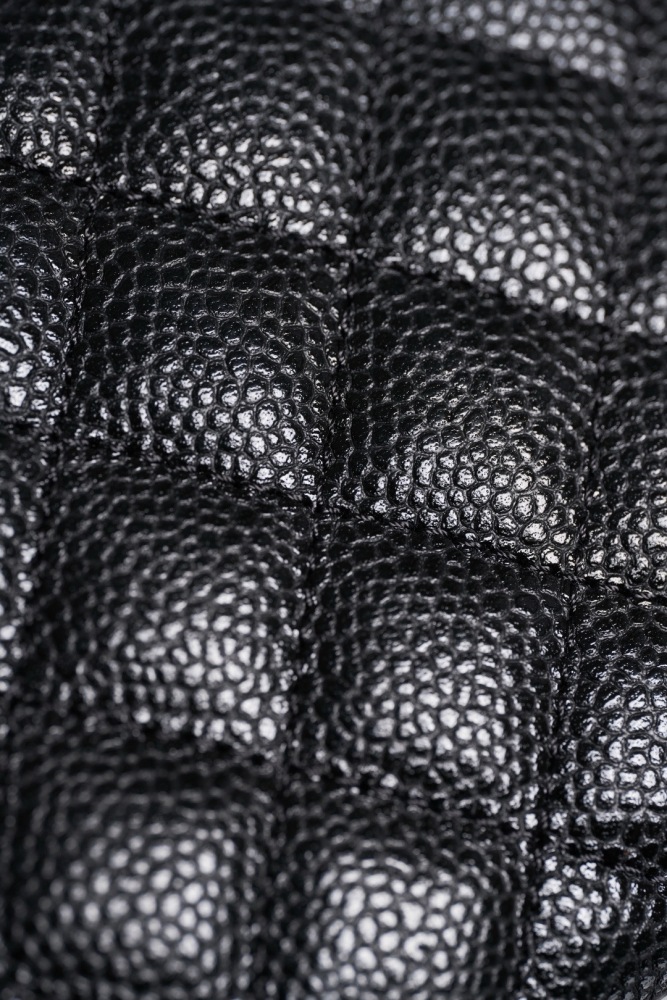 Chanel pouch 