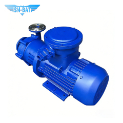 Magnetisch angetriebene Kreiselpumpe