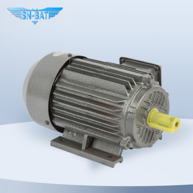 มอเตอร์อะซิงโครนัส AC