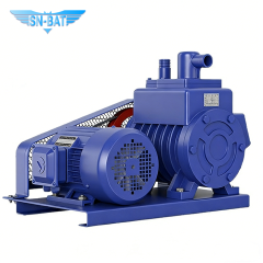 Bomba de vácuo de palhetas rotativas (2X)