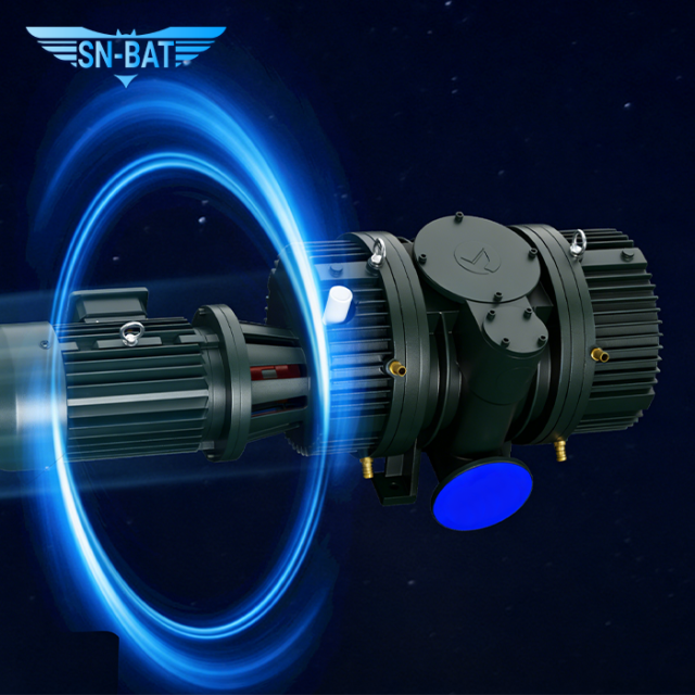 Roots-Vakuumpumpe (ZJ)