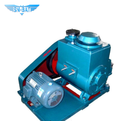 Роторно-лопастной вакуумный насос (2 шт.)