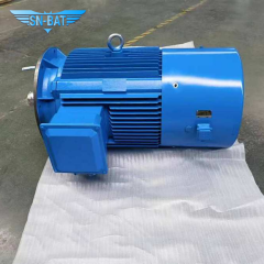 มอเตอร์ซิงโครนัส AC