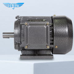 มอเตอร์อะซิงโครนัส AC