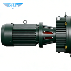 Roots-Vakuumpumpe (ZJ)