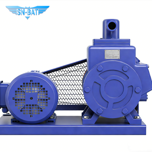 Bomba de vácuo de palhetas rotativas (2X)