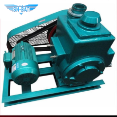 Роторно-лопастной вакуумный насос (2 шт.)