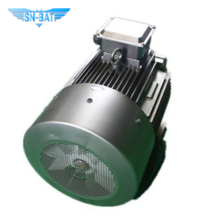 Động cơ đồng bộ AC