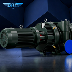 Roots-Vakuumpumpe (ZJ)