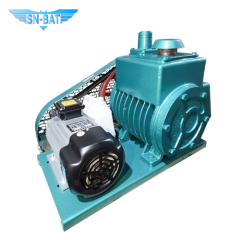 Роторно-лопастной вакуумный насос (2 шт.)