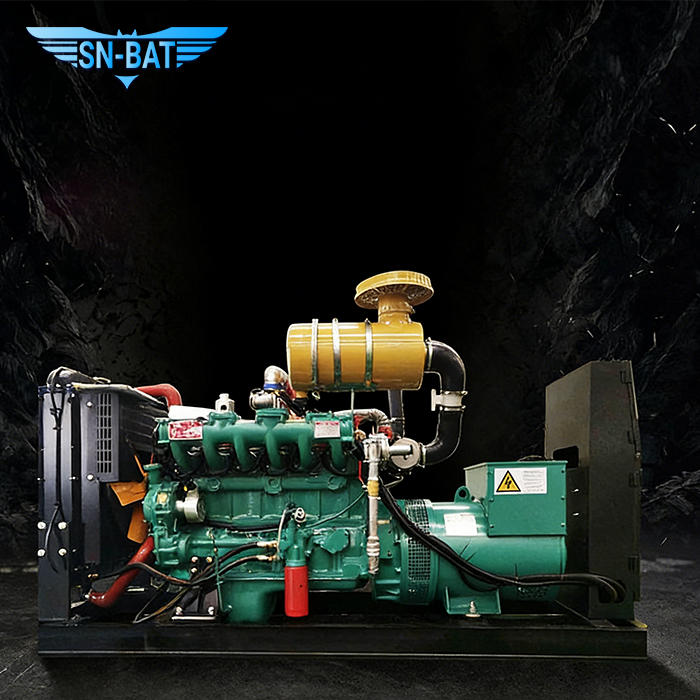 Natural Gas Generator Set
