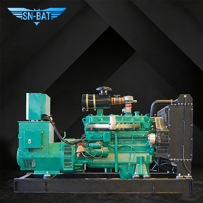 Natural Gas Generator Set