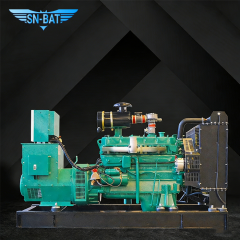 Natural Gas Generator Set