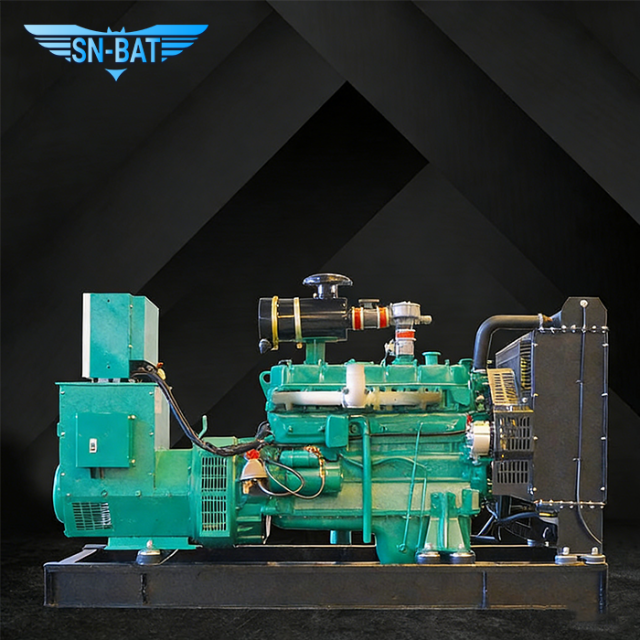 Natural Gas Generator Set