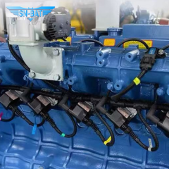 Biogas Generator Set