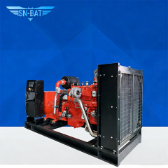 Biogas Generator Set