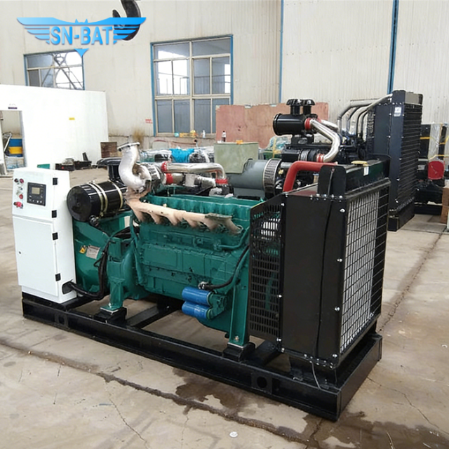 Natural Gas Generator Set