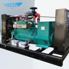 Biogas Generator Set