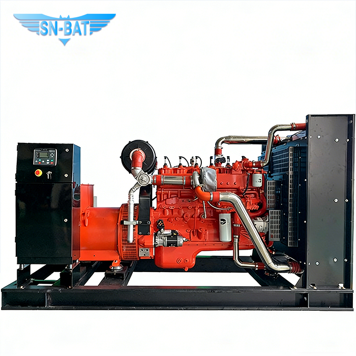 Biogas Generator Set