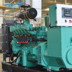 Natural Gas Generator Set