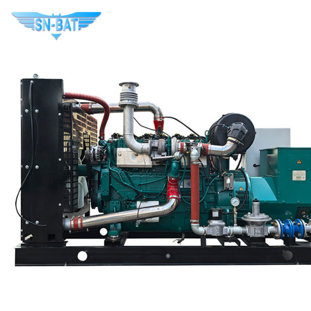 Biogas Generator Set