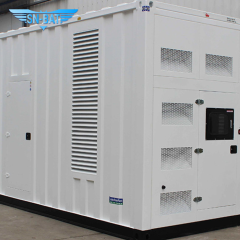 Containerized Diesel Generator Set