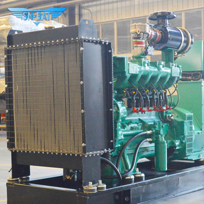 Natural Gas Generator Set