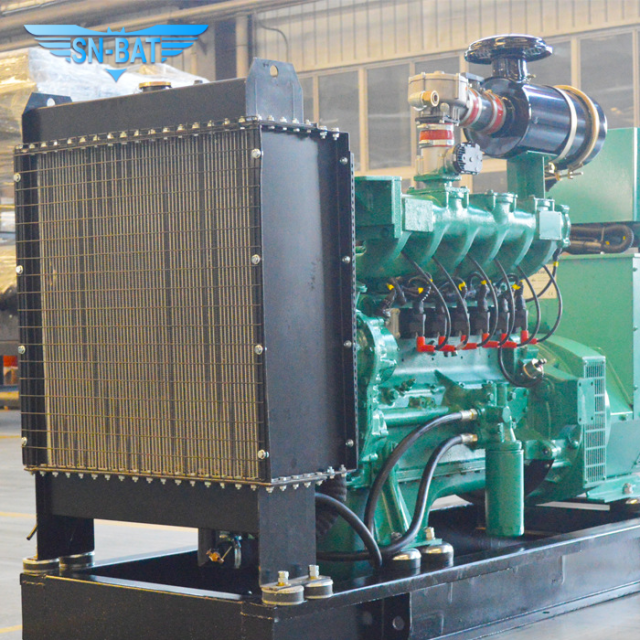 Natural Gas Generator Set