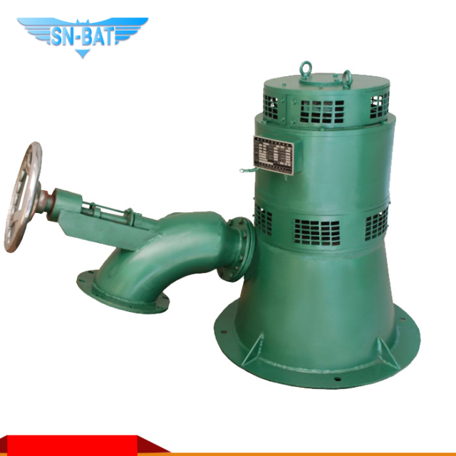 Vertical-shaft Hydro-generator