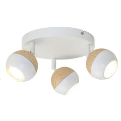 GU10 Spotlight 52420.0152.01,Shaoxing Yuexing Lighting Co., Ltd.,GU10 Spotlight 52420.0152.01