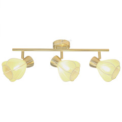 E14 Spotlight  52429.0118.01,Shaoxing Yuexing Lighting Co., Ltd.,E14 Spotlight  52429.0118.01