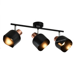 E14 Spotlight  52989.0118.01,Shaoxing Yuexing Lighting Co., Ltd.,E14 Spotlight  52989.0118.01