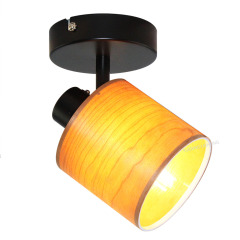 E14 Spotlight  52012.0118.01,Shaoxing Yuexing Lighting Co., Ltd.,E14 Spotlight  52012.0118.01