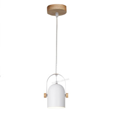 E27 Pendant Lamp P18015-1,Shaoxing Yuexing Lighting Co., Ltd.,E27 Pendant Lamp P18015-1