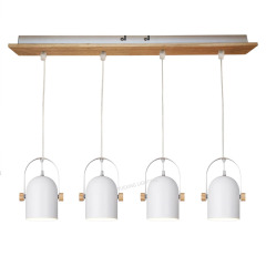 E27 Pendant Lamp P18015-1,Shaoxing Yuexing Lighting Co., Ltd.,E27 Pendant Lamp P18015-1