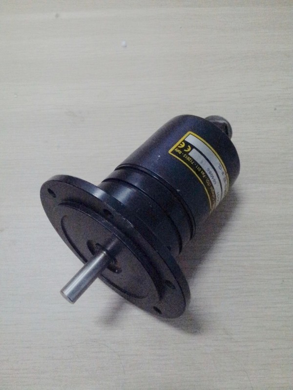 115-1024-ELCIS Flange Encoder-Heavy Load
