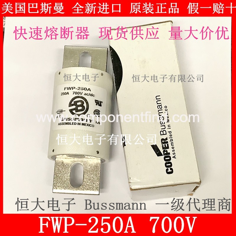 FWP-250A 700V American BUSSMANN Basman fast fuse new energy car fuse